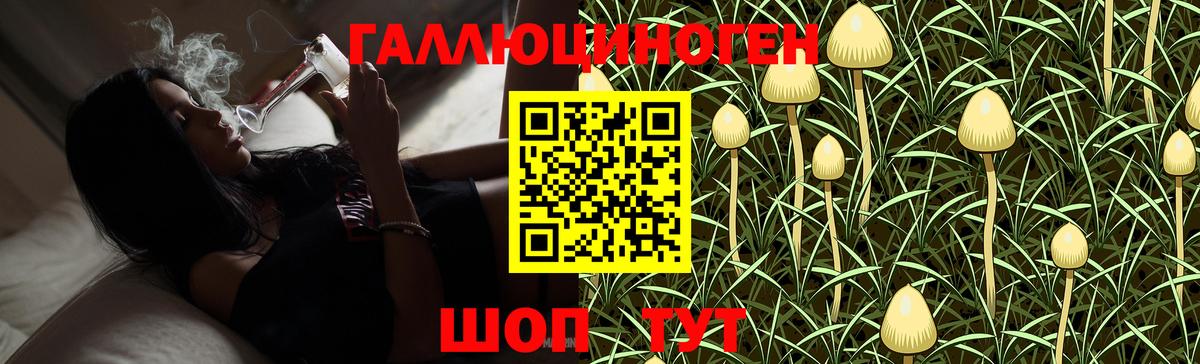 Галлюциногенные грибы GOLDEN TEACHER  Псилоцибиновые грибы Psilocybine cubensis  Полысаево  Вход с VPN 